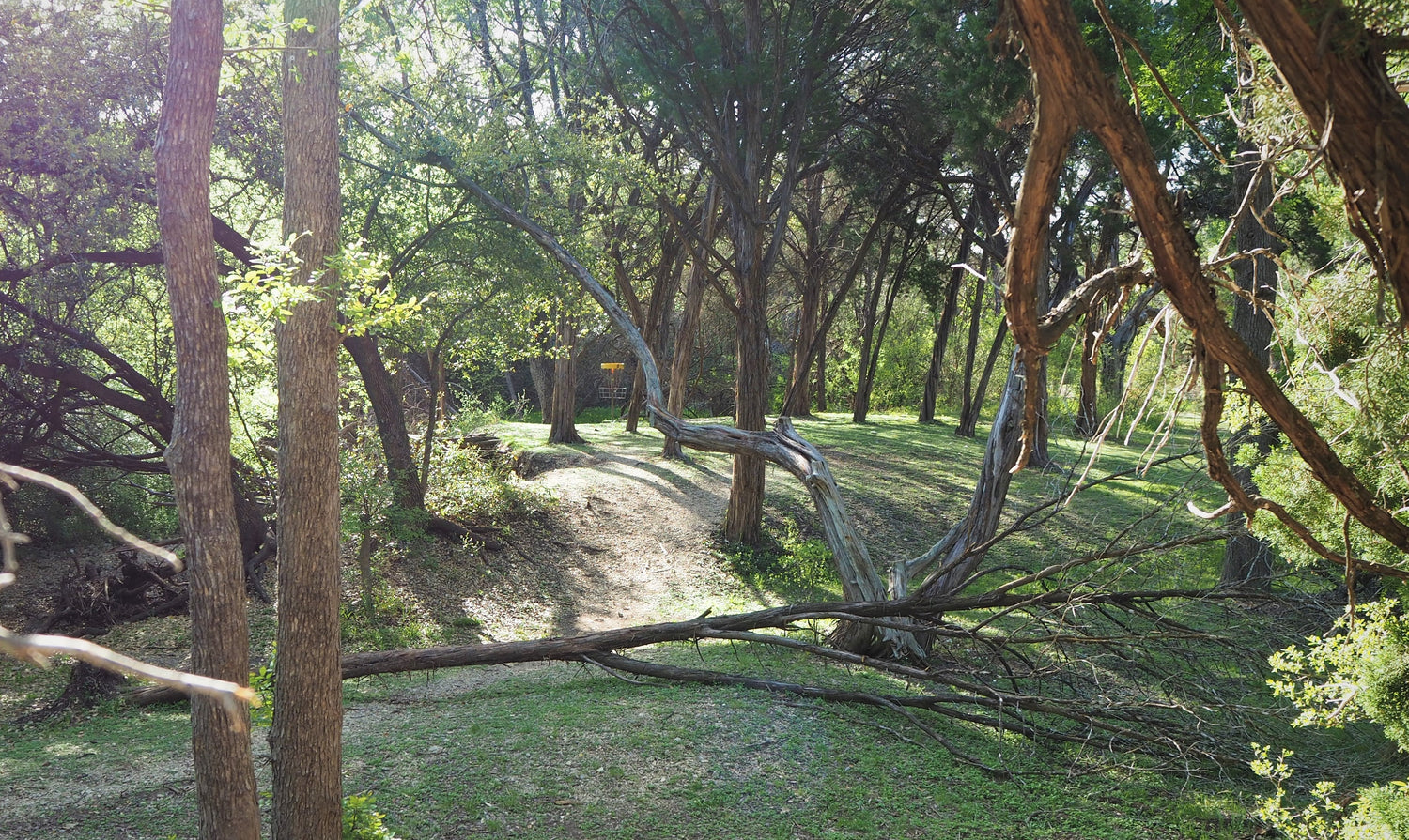 Brushy Creek 9-hole disc golf course. Round Rock, TX